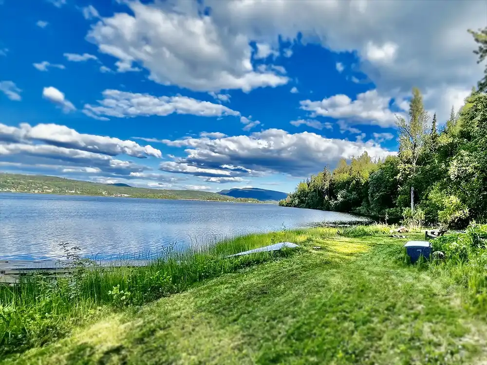 Grass area by the lakeshore