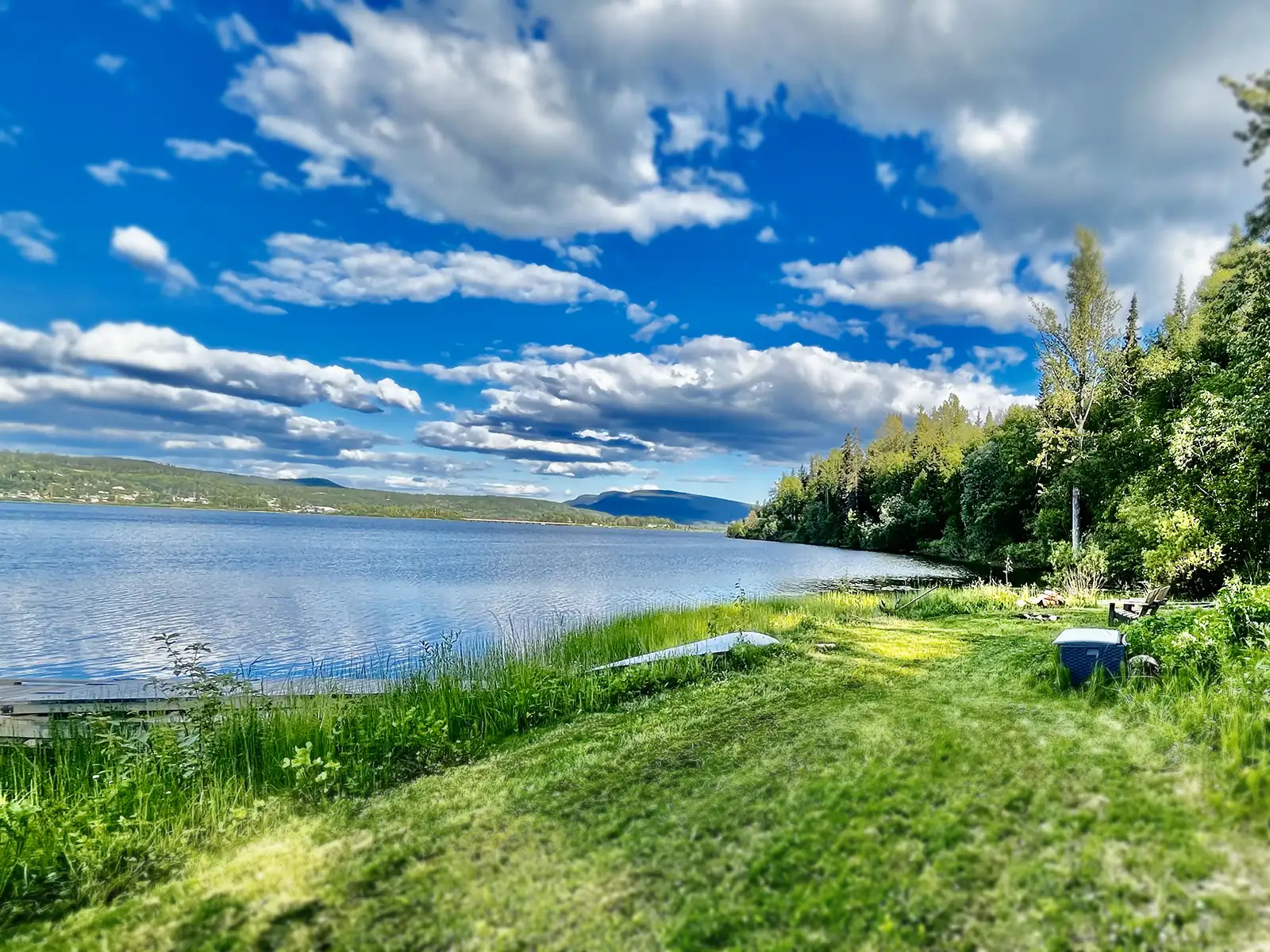Grass area by the lakeshore